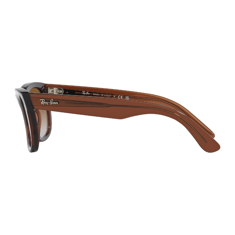 نظارة Ray-Ban Reverse– تصميم للجنسين 53