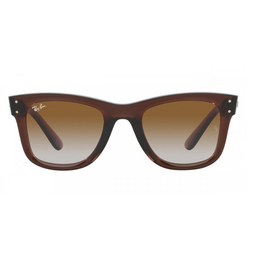 نظارة Ray-Ban Reverse– تصميم للجنسين  53