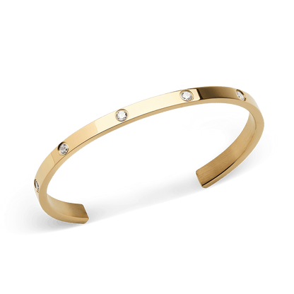 Classic Lumine 5.5 Bracelet 185mm G - Daniel Wellington